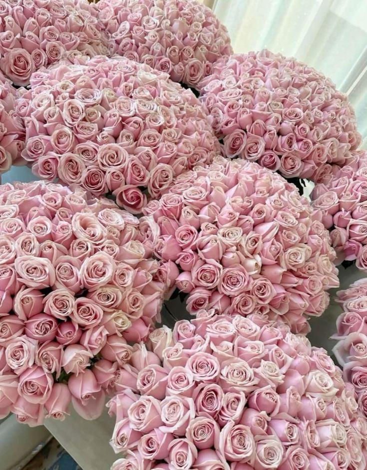 Sunrise Symphony: Radiant Blooms Awakening